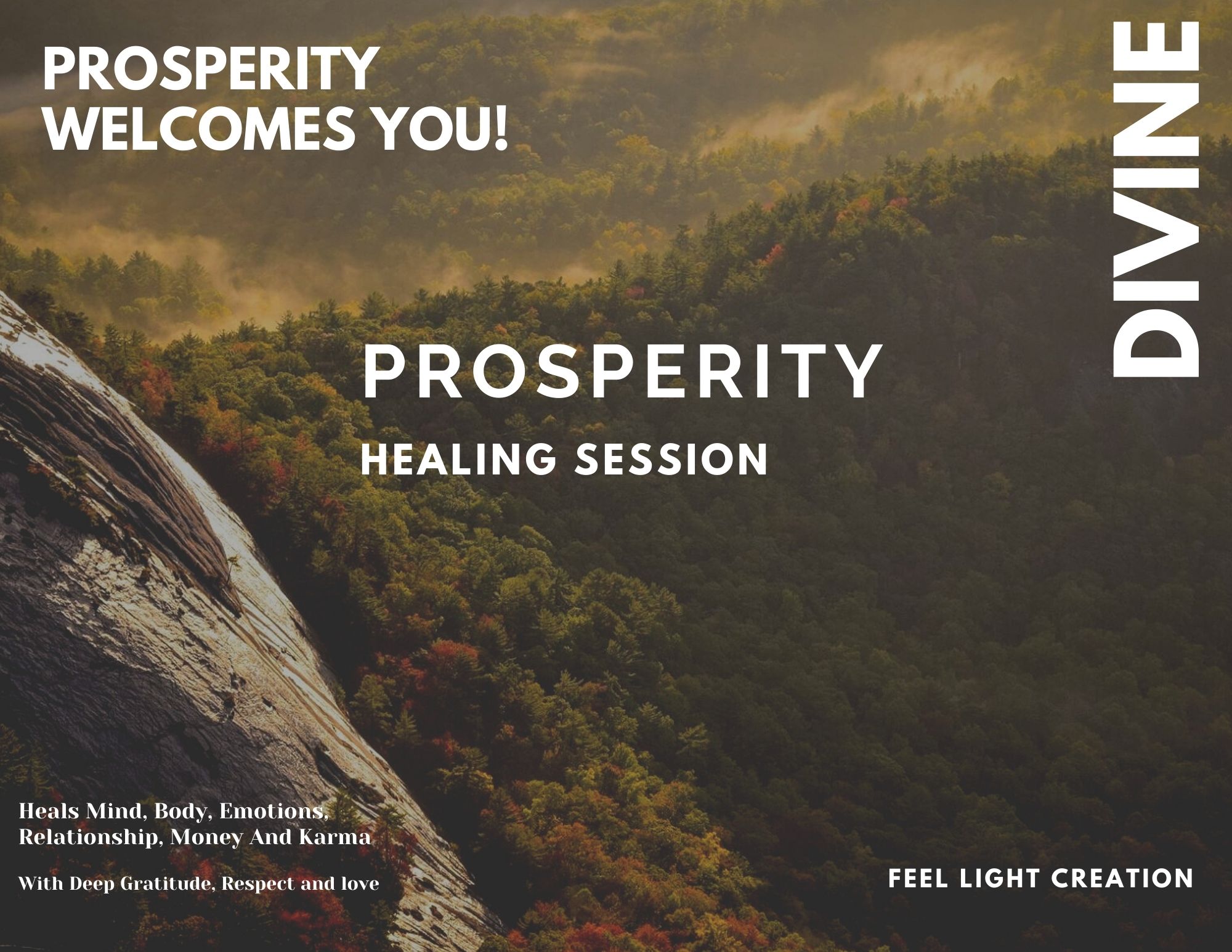Prosperity Healing Session