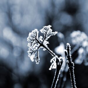 How To Enable The Flow Of The Most Powerful Divine Energies To Manifest Life Goals