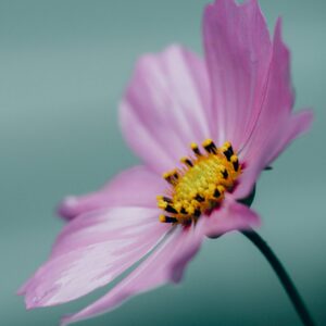 Powerful Divine Energy Amplification Technique